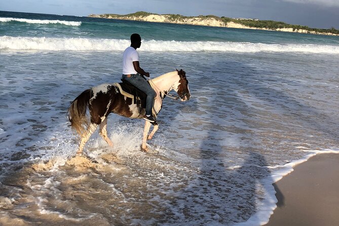 Half-Day Tour 2-in-1, Redonda Mountain & Horseback Riding Tour in Macao Beach - Good To Know