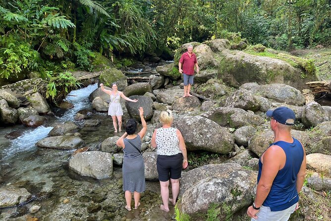 Half Day Tour Anywhere in Martinique