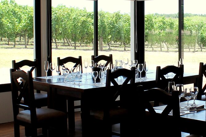 Half Day Tour at Pizzorno Winery With Lunch and Wine Tasting