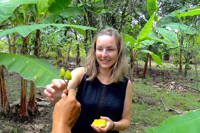 Half Day Tour Cocoa Farm, Fruits and Plantations From Guayaquil