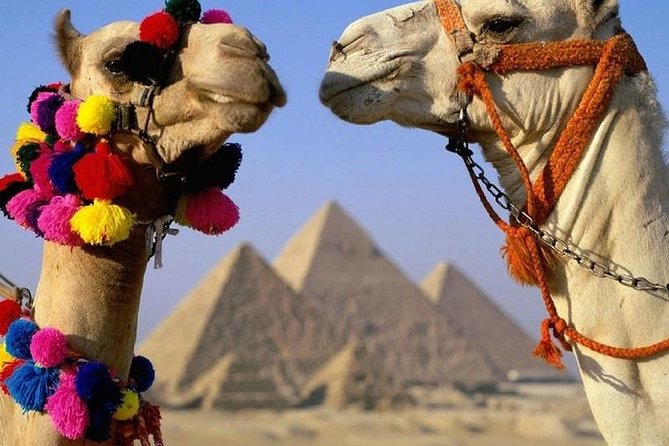 Half Day Tour to Giza Pyramids & Sphinx - Good To Know