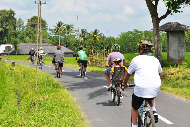 Half-Day Ubud Rice Field and Village Cycling Tour - Good To Know
