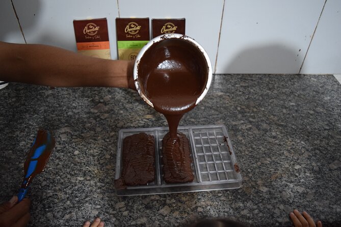 Half Day: Visit to Cocoa Farm From Guayaquil