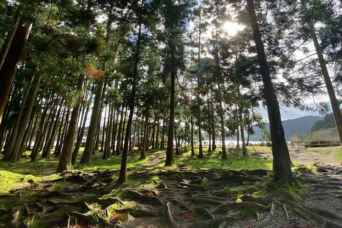 Half Day Volcano of Fogo and Furnas Private Tour
