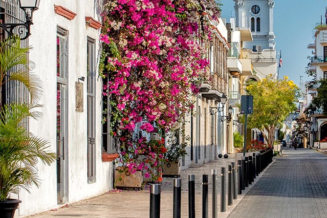 Half Day Walking Tour in the Colonial Zone of Santo Domingo