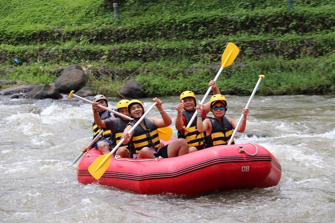 Half-Day Whitewater Rafting With Ubud Hotel Transfers - Good To Know