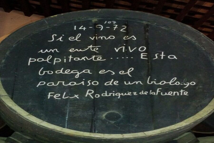 Half-Day Wine Tour in Andalusia - Good To Know