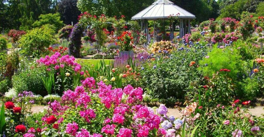Hamburg: Plants and Flowers Park Smartphone Game Quest