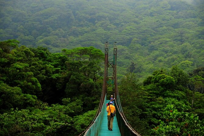 Hanging Bridges Guided Walk - Good To Know