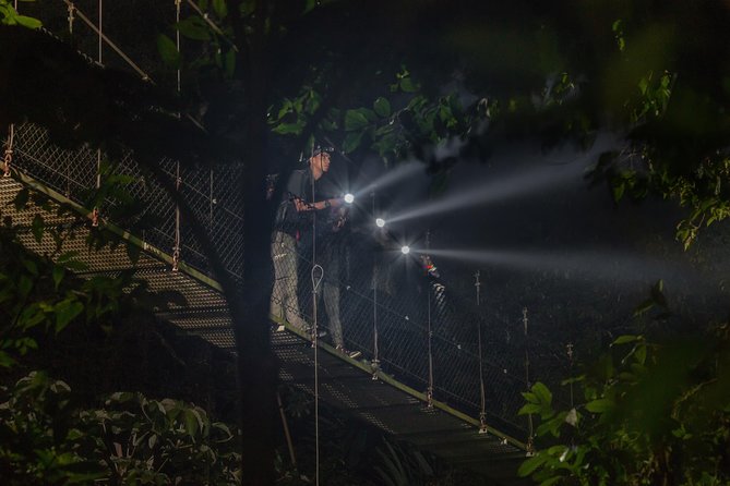 Hanging Bridges Nighttime Canopy Tour at Mistico Park (Feb )