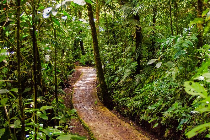 Hanging Bridges & Tour Guide From Monteverde
