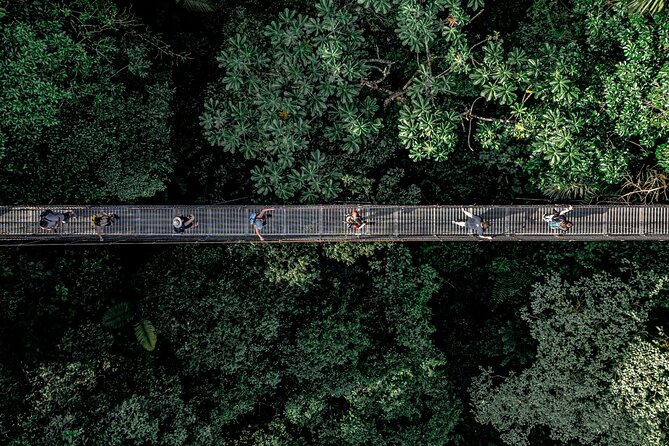 Hanging Bridges Walk in Arenal Volcano - Good To Know
