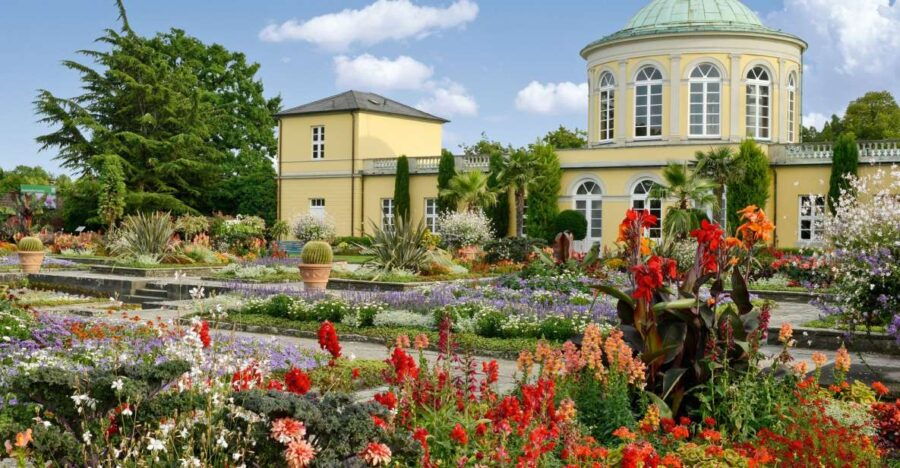 Hannover: Guided Tour of the Berggarten - Good To Know