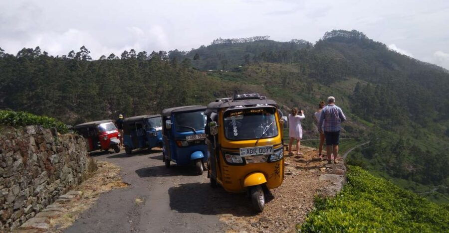 Haputale: Ella, Small Adam's Peak, & Nine Arches Bridge Hike - Good To Know