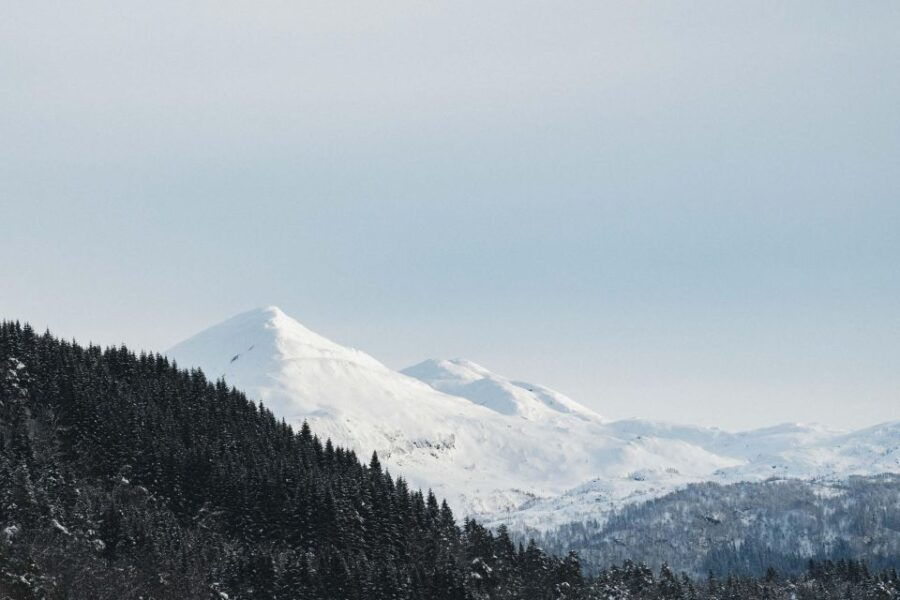 Hardangerfjord: Exclusive Snowshoe Hike With Majestic Views