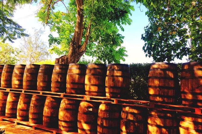 Harrisons Cave and Mount Gay Rum Tour - Good To Know