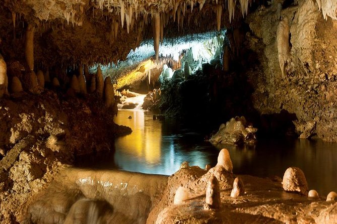Harrisons Cave Tour From Bridgetown