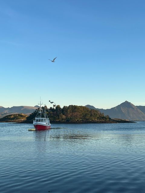 3 Best Sailing Experiences In Harstad