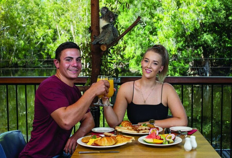 Hartley's Crocodile Adventures: Breakfast With Koalas - Good To Know