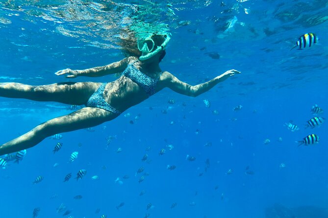 Hawaiian Culture & Snorkel Adventure With Photo/Videos - Good To Know