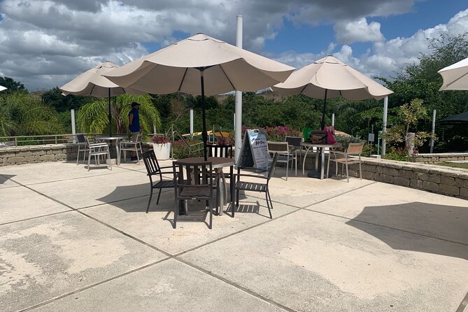 Healing Retreat, Beach and Bio Bay Tour in Puerto Rico