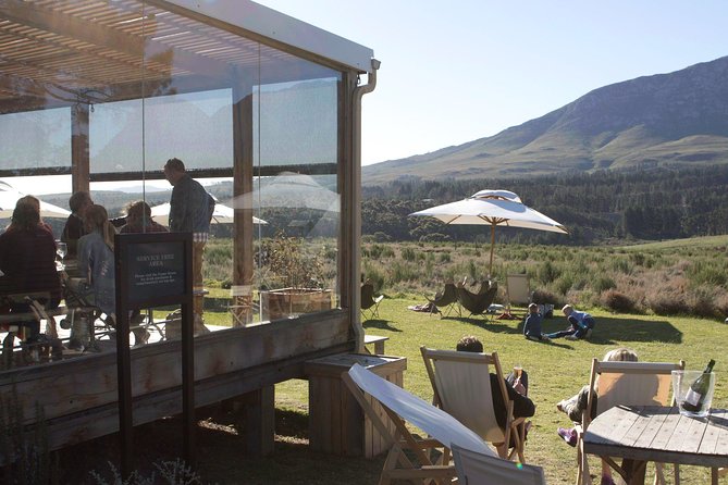 3 Best Wine Tours In Hermanus