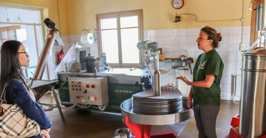 Heraklion Area: Secrets of Olive Oil and Wine Tasting Tour