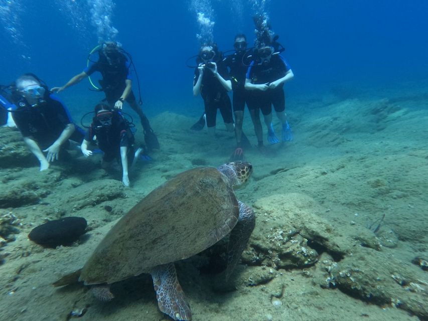 Heraklion: Beginner's Intro Dive W/2 Dives With Transfer. - Good To Know