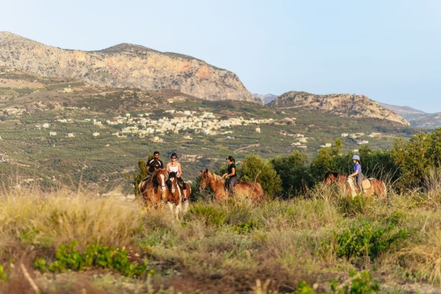 Heraklion: Finikia Horse Riding Day Tour With Lunch - Good To Know