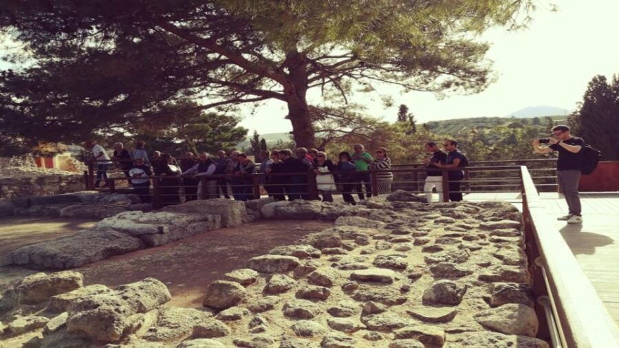 Heraklion: Knossos Palace Guided Tour Half Day