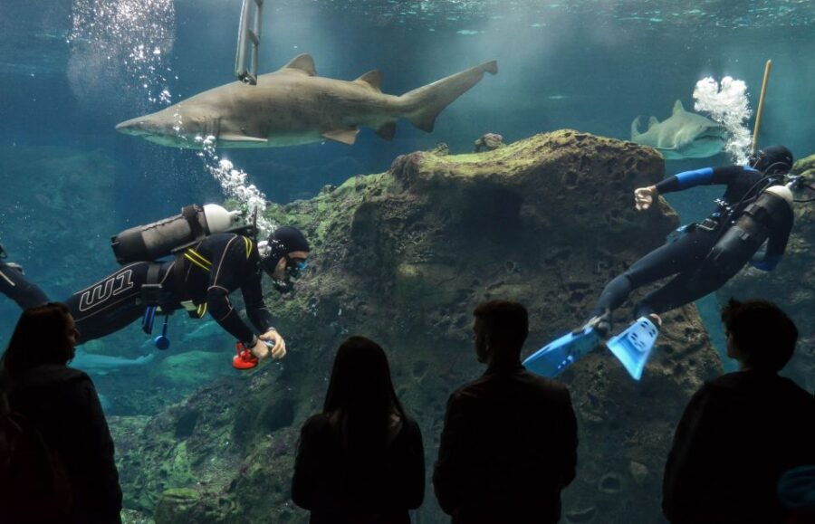 Heraklion Market & Cretaquarium *Skip the Line - Good To Know