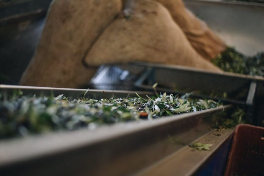 Heraklion: Olive Mill Visit With Olive Oil and Food Pairing