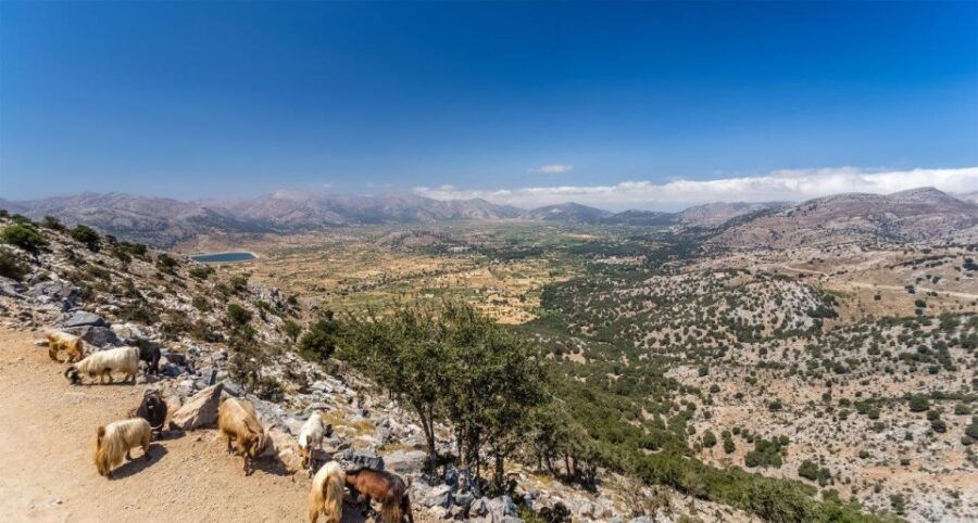 Heraklion: Sunset Safari With Dinner & Prosecco - Good To Know