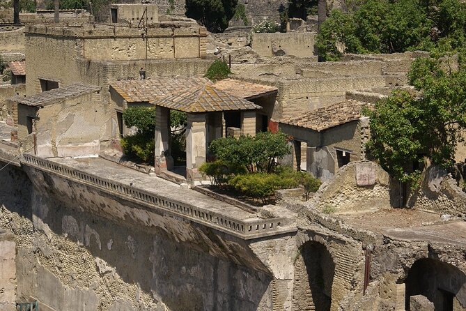 Herculaneum Guided Tour With Pick up in Naples - Good To Know