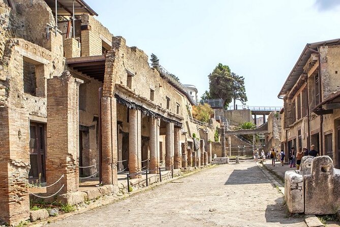 Herculaneum Ruins and Naples Center Full Day Private Tour From Rome - Good To Know