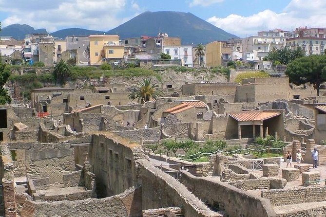Herculaneum Walking Tour With Guide - for Group up to 8ppl - Good To Know