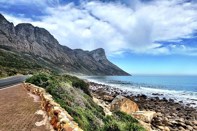 Hermanus Whale Watching Boat Trip and Stony Point Penguins Day Tour - Tour Inclusions