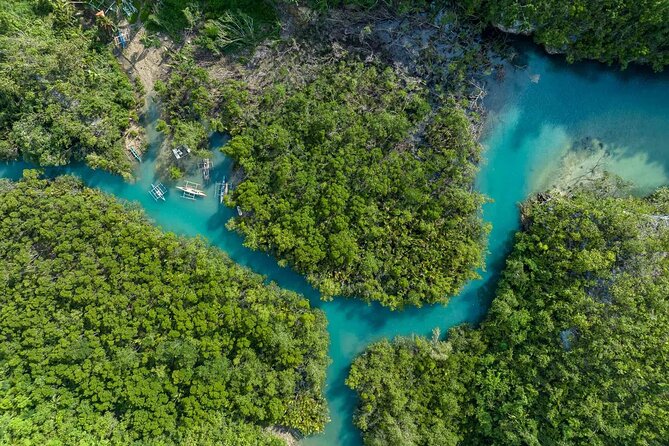 Hermits Cove and Bojo River Eco Private Tour