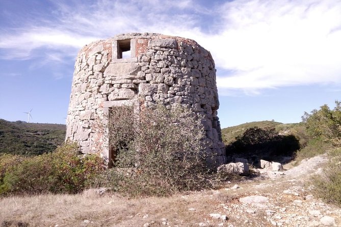 Hidden Charms: Private Nature Expedition in Serra Dos Candeeiros