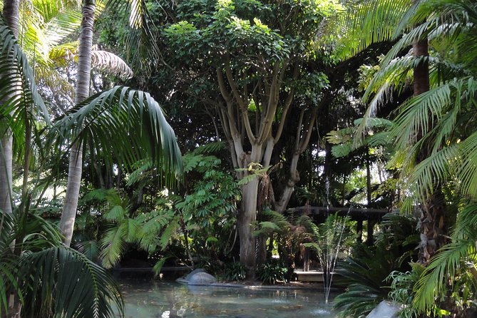Hidden Nature Walks in the City Private Tour