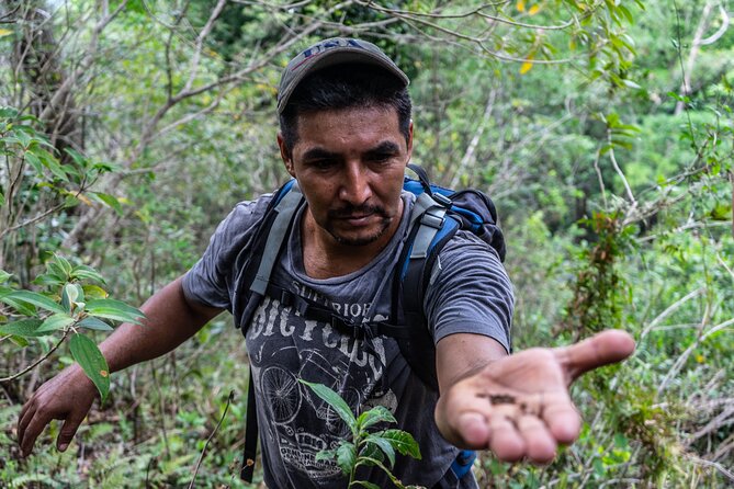 Hidden Waterfall Guided Tour in El Imposible National Park