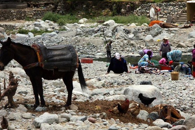 High Atlas Mountains Day Trip From Marrakech - Good To Know