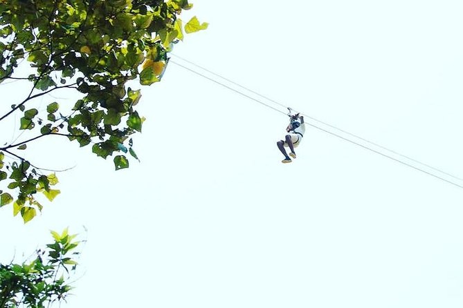 High Ropes Course in Madikeri
