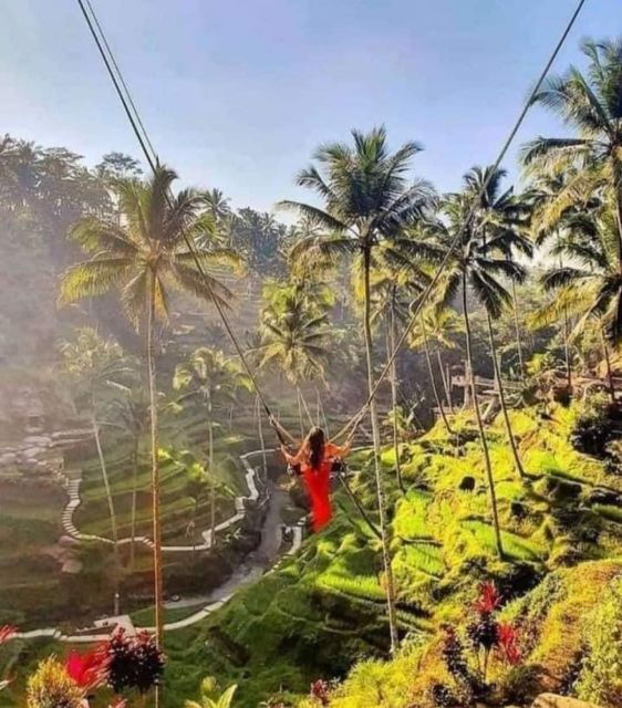 Highlight Ubud Waterfalls and Tegalalang Rice Terrace - Good To Know
