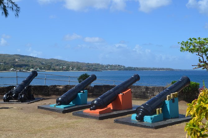 Highlights of Tobago Tour