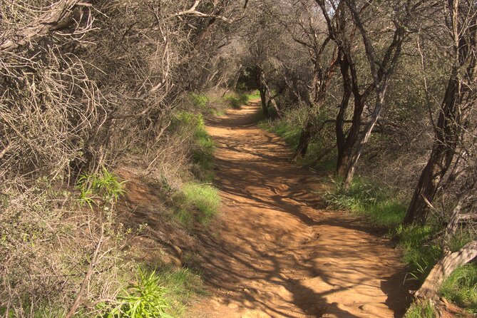 Hike in the Santa Monica Mountains