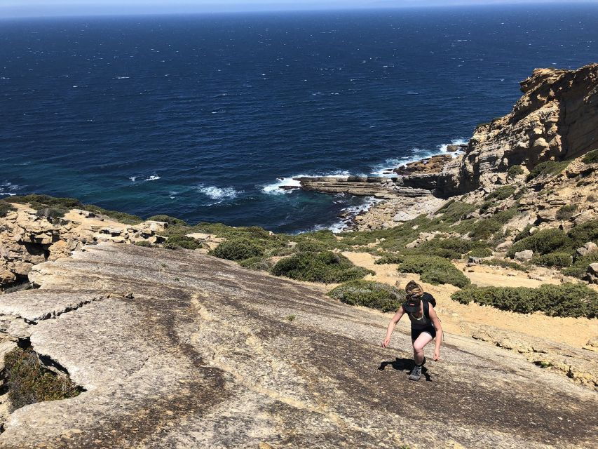 HIKE: Jurassic Dinosaur Trail Walking Tour at Cabo Espichel - Good To Know