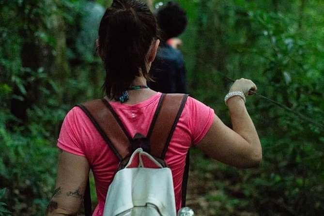 Hike Through Secret Waterfalls in Foz Do Iguaçu (Part-Time - Morning) - Good To Know