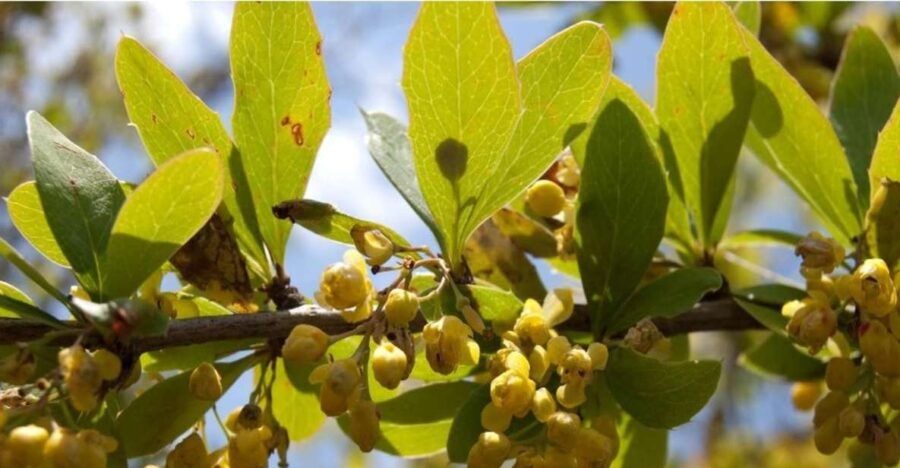 Hike to Champadevi - Good To Know