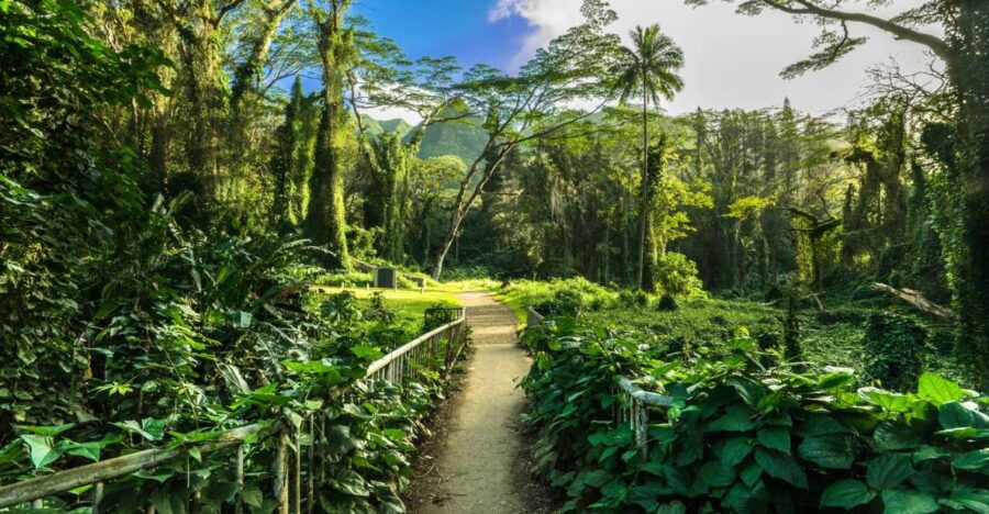 Hike Trail to Waterfall & Nature Walk - Good To Know